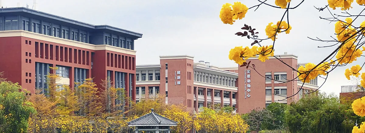 Guangzhou Medical University campus and academic buildings