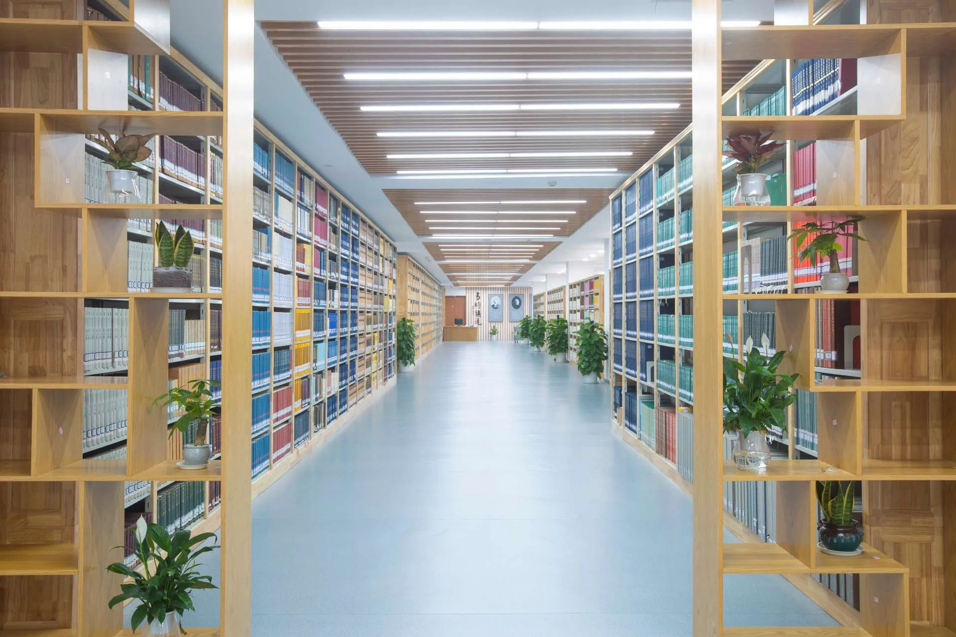 Hangzhou Normal University library and study spaces